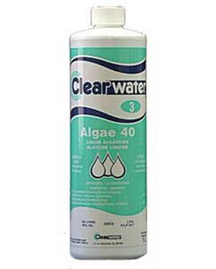 Image sur ALGICIDE 1L 301304011 1L