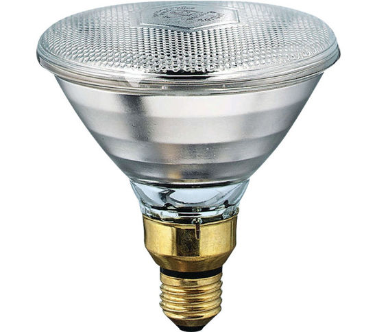 Image sur AMPOULE REFL 405183 CLAIR 175W