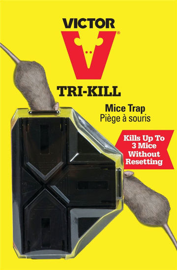 Image sur PIEGE   SOURIS VICTOR TRI-KILL
