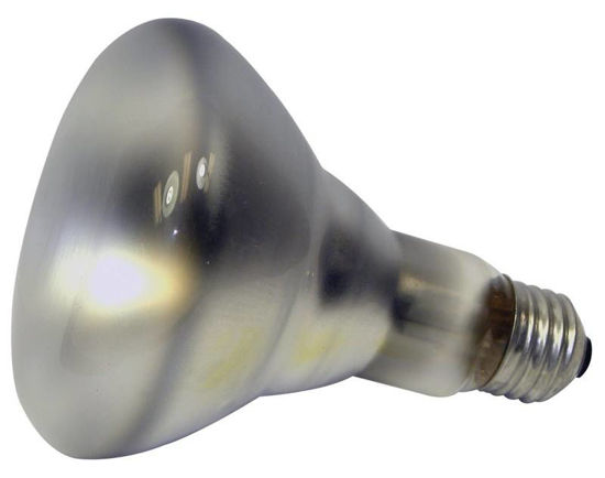 Image sur AMPOULE REFLECH 65 W PROJECTEU