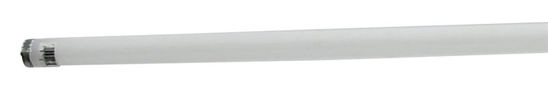 Image sur AMPOULE FLUOR BL FROID 96 PO T