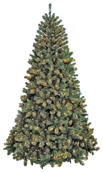 Image sur SAPIN 7 PI PRE-ALLUME TRANSP N