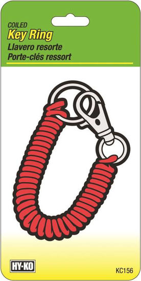 Image sur PORTE-CLE SPIRALE   CLIP