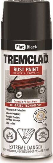 Image sur TREMCLAD AEROSOL NOIR MAT 2704