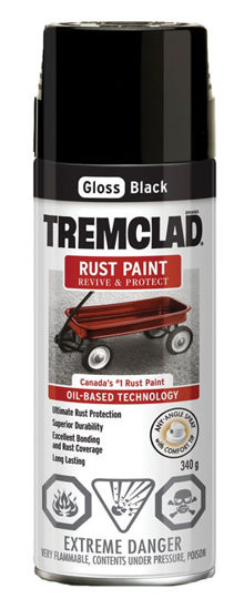 Image sur TREMCLAD AEROSOL NOIR LUSTRE 2