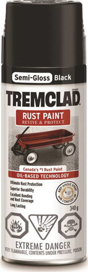 Image sur TREMCLAD AEROSOL NOIR S-LUSTRE