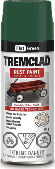 Image sur PAINT SPRAY RUST FLAT GRN 340G
