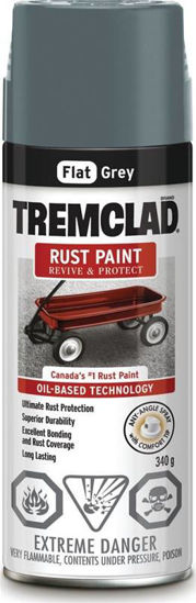 Image sur PAINT SPRAY RUST FLAT GRY 340G