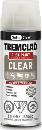 Image sur PAINT SPRAY RUST SAT CLR 340G