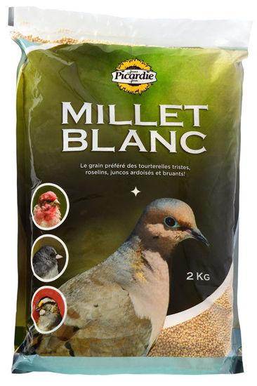 Image sur MILLET BLANC 2 KG 38102