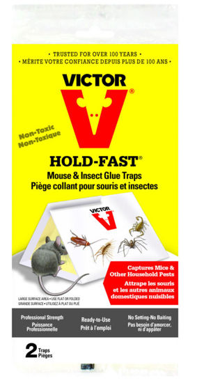 Image sur PIEGES   COLLE SOURIS PLATEAU