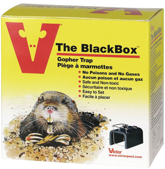 Image sur PIEGE BLACKBOX GOPHER