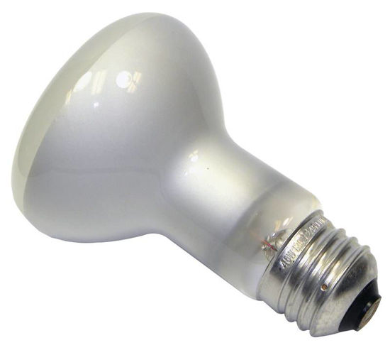 Image sur SYLVANIA AMPOULE 45R20FL3P 3PK