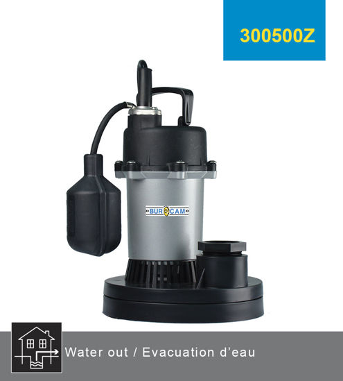 Image sur POMPE PUISSARD SUBMERSIBLE 1/3CV
