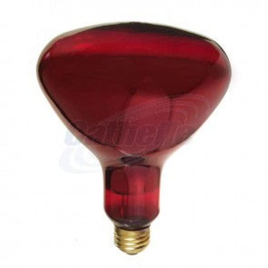 Image sur LAMPE CHALEUR 250W R40 ROUGE
