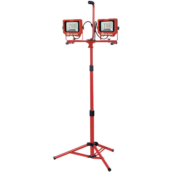 Image sur LAMPE TRAVAIL DEL DOUBLE